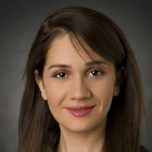Somayeh Asadi